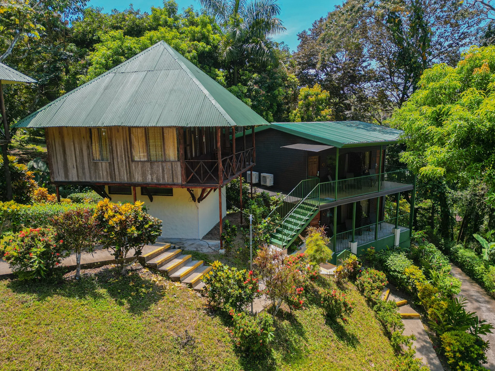 Tabulia Tree aerial